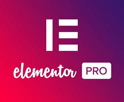 Elementor Pro –  Lifetime Update
